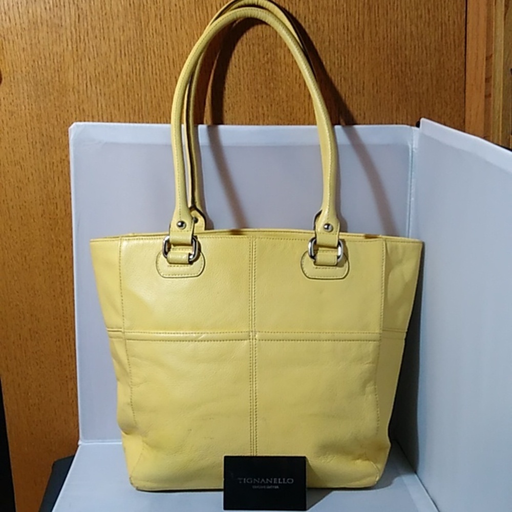 Tignanello shoulder bag